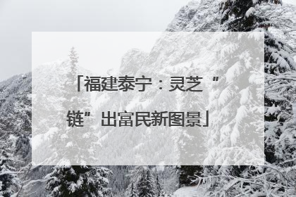 福建泰宁：灵芝“链”出富民新图景