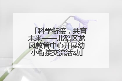 科学衔接，共育未来——北碚区龙凤教管中心开展幼小衔接交流活动