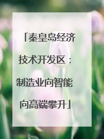 秦皇岛经济技术开发区：制造业向智能向高端攀升