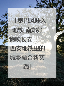 秦巴风味入地铁 南郑好物映长安——西安地铁里的城乡融合新实践