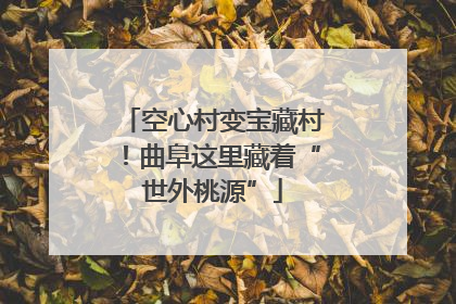 空心村变宝藏村！曲阜这里藏着“世外桃源”
