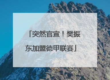 突然官宣！樊振东加盟德甲联赛