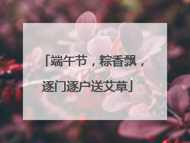 端午节，粽香飘，逐门逐户送艾草