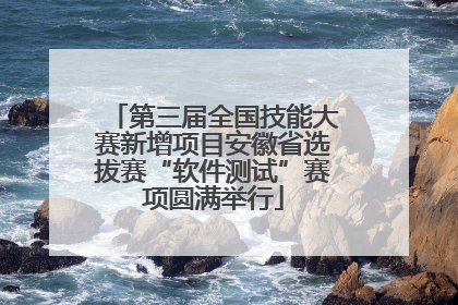 第三届全国技能大赛新增项目安徽省选拔赛“软件测试”赛项圆满举行