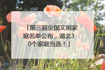 第三届全国文明家庭名单公布，湖北30个家庭当选！