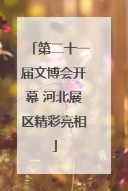 第二十一届文博会开幕 河北展区精彩亮相