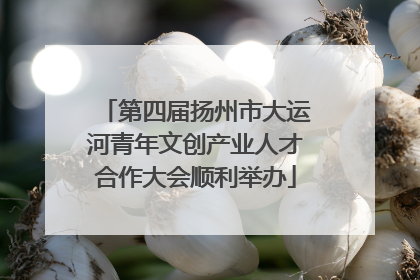 第四届扬州市大运河青年文创产业人才合作大会顺利举办