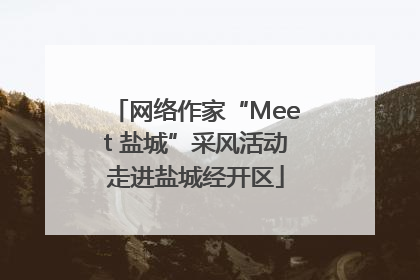 网络作家“Meet 盐城”采风活动走进盐城经开区