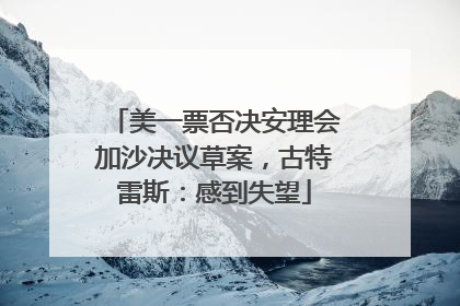 美一票否决安理会加沙决议草案，古特雷斯：感到失望