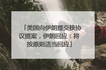 美国向伊朗提交核协议提案，伊朗回应：将按原则适当回应