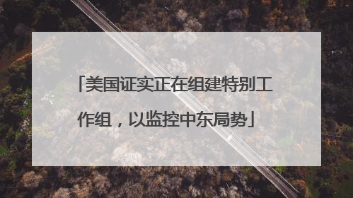 美国证实正在组建特别工作组，以监控中东局势