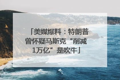 美媒爆料：特朗普曾怀疑马斯克“削减1万亿”是吹牛