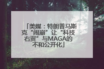 美媒：特朗普马斯克“闹崩”让“科技右翼”与MAGA的不和公开化