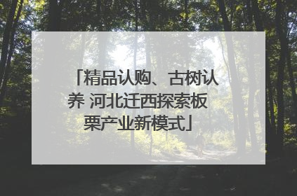 精品认购、古树认养 河北迁西探索板栗产业新模式