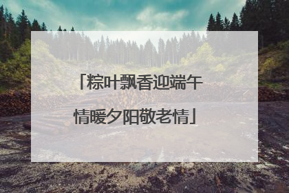 粽叶飘香迎端午 情暖夕阳敬老情