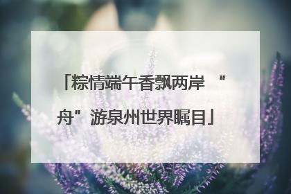 粽情端午香飘两岸 “舟”游泉州世界瞩目