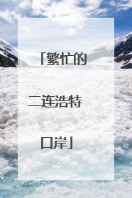 繁忙的二连浩特口岸