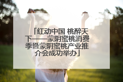 红动中国 桃醉天下——蒙阴蜜桃消费季暨蒙阴蜜桃产业推介会成功举办