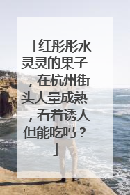 红彤彤水灵灵的果子，在杭州街头大量成熟，看着诱人但能吃吗？