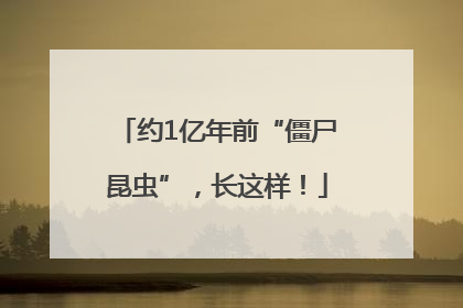 约1亿年前“僵尸昆虫”，长这样！