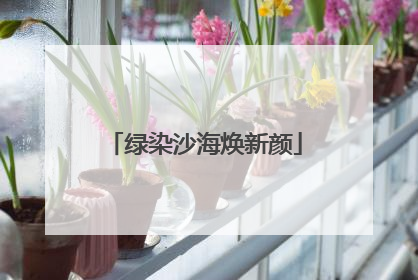 绿染沙海焕新颜