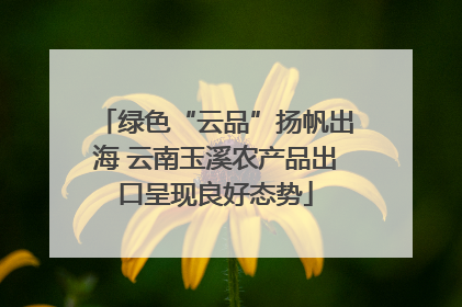 绿色“云品”扬帆出海 云南玉溪农产品出口呈现良好态势