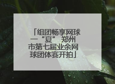 组团畅享网球一“夏” 郑州市第七届业余网球团体赛开拍