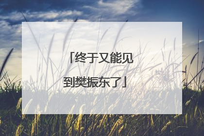 终于又能见到樊振东了
