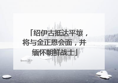 绍伊古抵达平壤，将与金正恩会面，并缅怀朝鲜战士