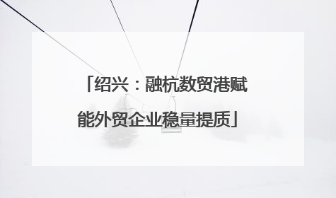 绍兴：融杭数贸港赋能外贸企业稳量提质