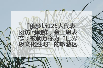 俄罗斯125人代表团访问朝鲜，金正恩表态；被朝方称为“世界级文化胜地”的旅游区，将首次接待俄游客