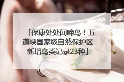 保康处处闻啼鸟！五道峡国家级自然保护区新增鸟类记录23种