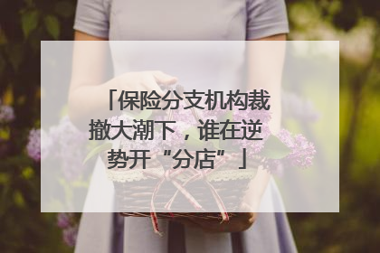 保险分支机构裁撤大潮下，谁在逆势开“分店”