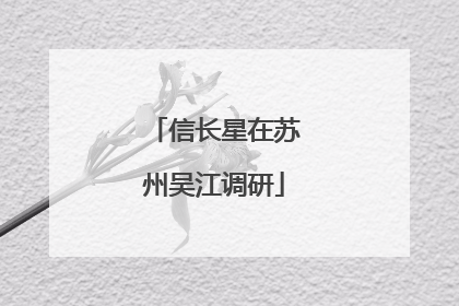 信长星在苏州吴江调研