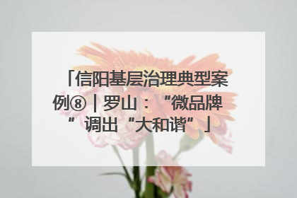 信阳基层治理典型案例⑧｜罗山：“微品牌”调出“大和谐”