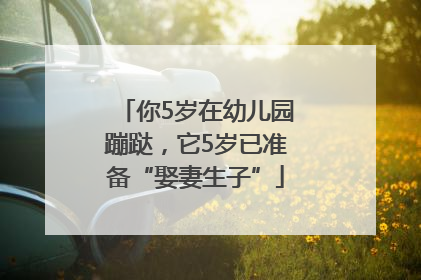 你5岁在幼儿园蹦跶，它5岁已准备“娶妻生子”