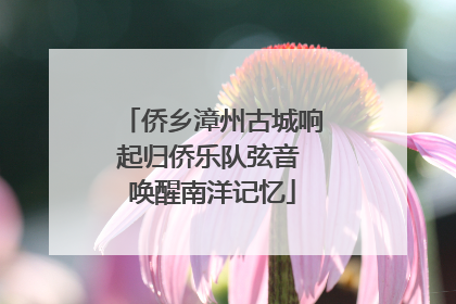 侨乡漳州古城响起归侨乐队弦音 唤醒南洋记忆