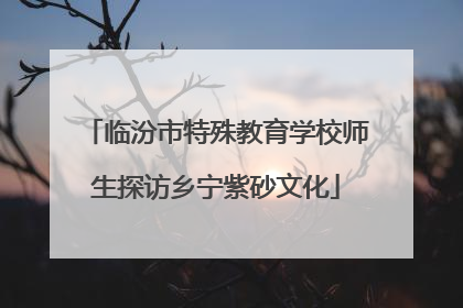 临汾市特殊教育学校师生探访乡宁紫砂文化