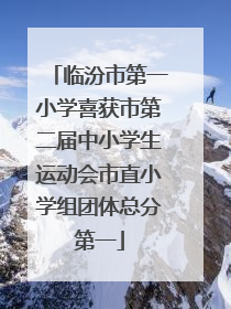 临汾市第一小学喜获市第二届中小学生运动会市直小学组团体总分第一