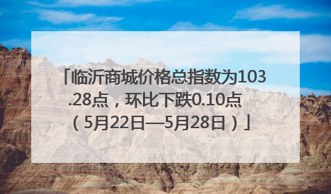 临沂商城价格总指数为103.28点，环比下跌0.10点（5月22日—5月28日）