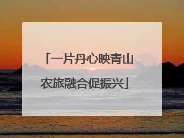 一片丹心映青山 农旅融合促振兴