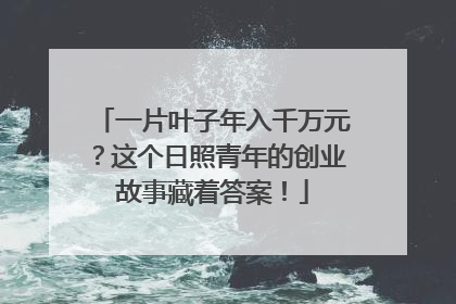 一片叶子年入千万元？这个日照青年的创业故事藏着答案！