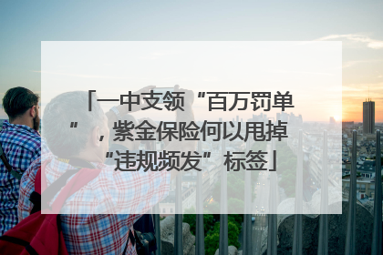 一中支领“百万罚单”，紫金保险何以甩掉“违规频发”标签