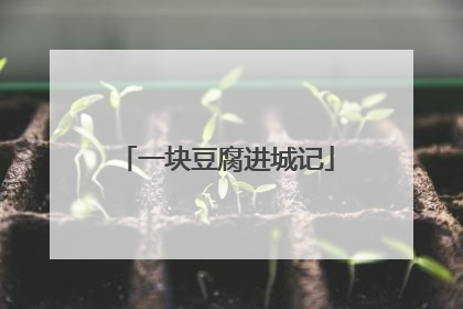 一块豆腐进城记