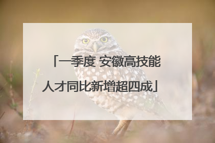 一季度 安徽高技能人才同比新增超四成