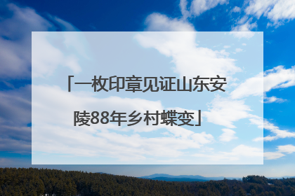 一枚印章见证山东安陵88年乡村蝶变