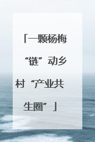 一颗杨梅“链”动乡村“产业共生圈”