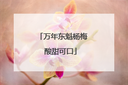 万年东魁杨梅 酸甜可口