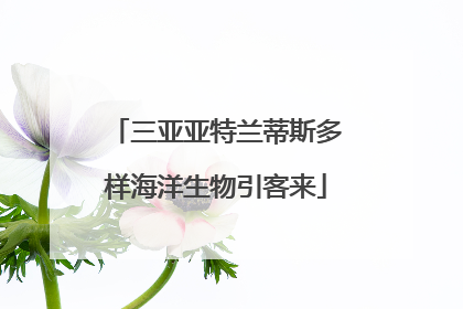 三亚亚特兰蒂斯多样海洋生物引客来