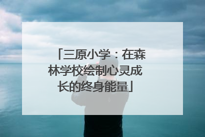 三原小学：在森林学校绘制心灵成长的终身能量